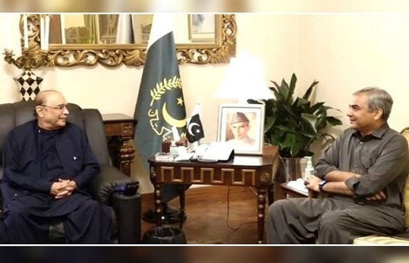 وزیر داخلہ محسن نقوی اور صدر مملکت آصف علی زرداری کے درمیان ملاقات ہوئی
